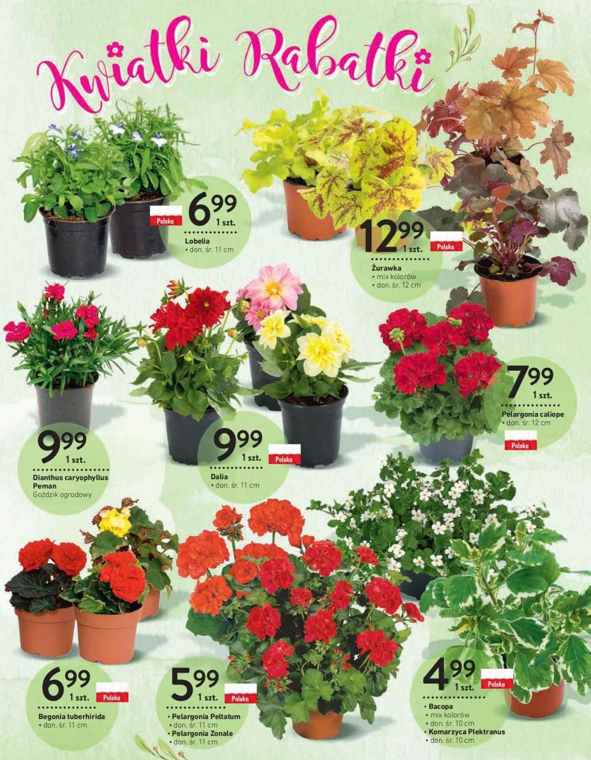 Gazetka promocyjna Intermarche str. 13