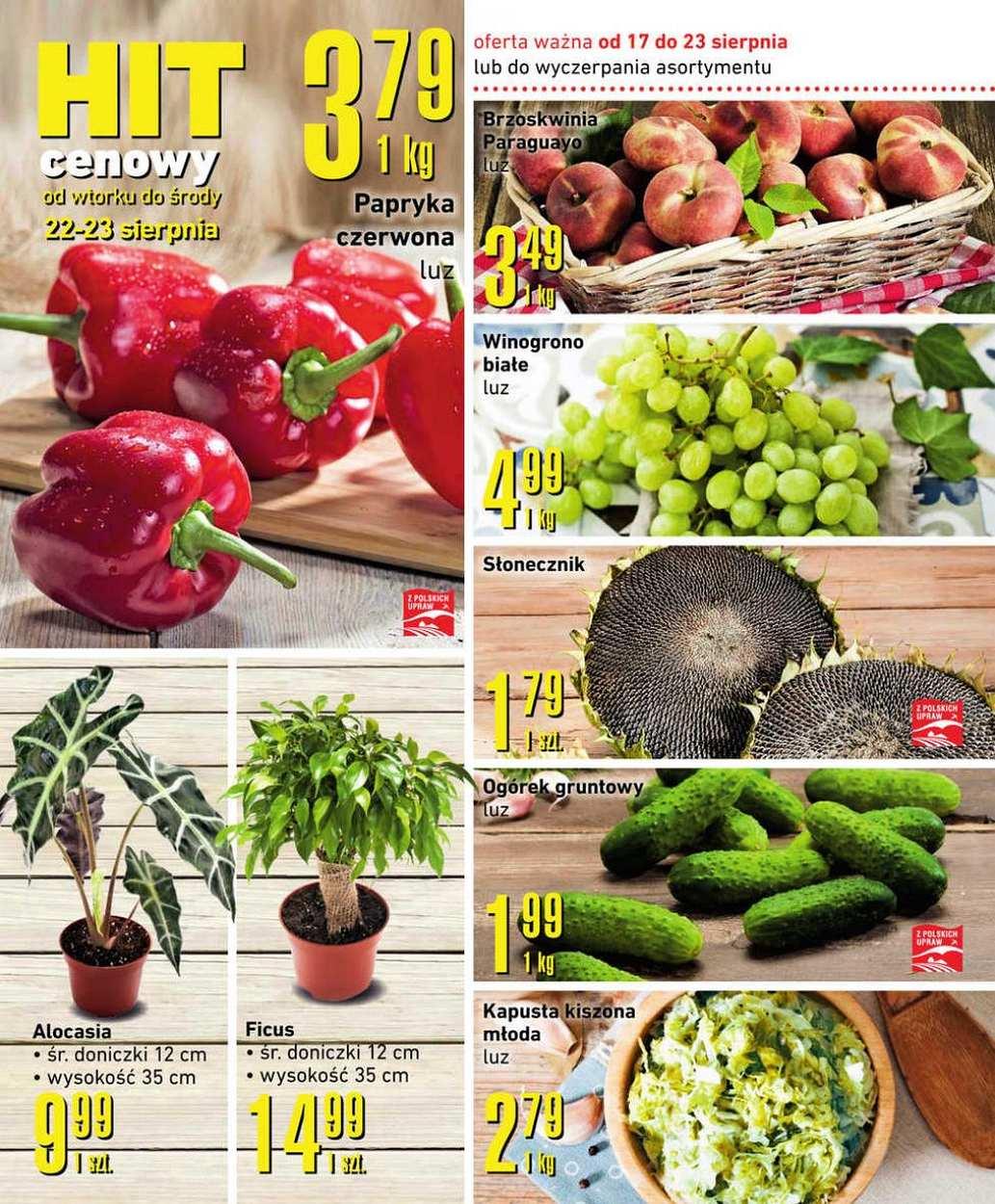 Gazetka promocyjna Intermarche str. 8