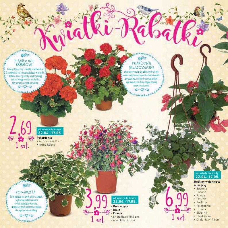 Gazetka promocyjna Intermarche str. 8