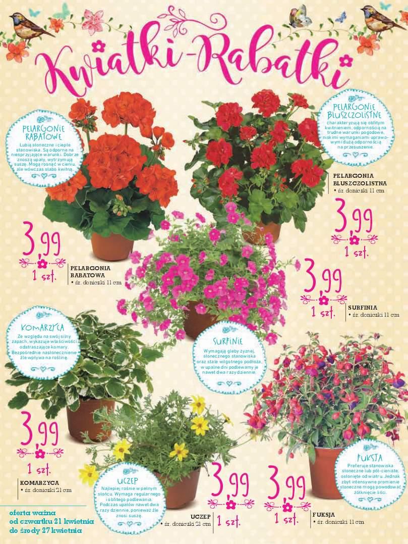 Gazetka promocyjna Intermarche str. 18