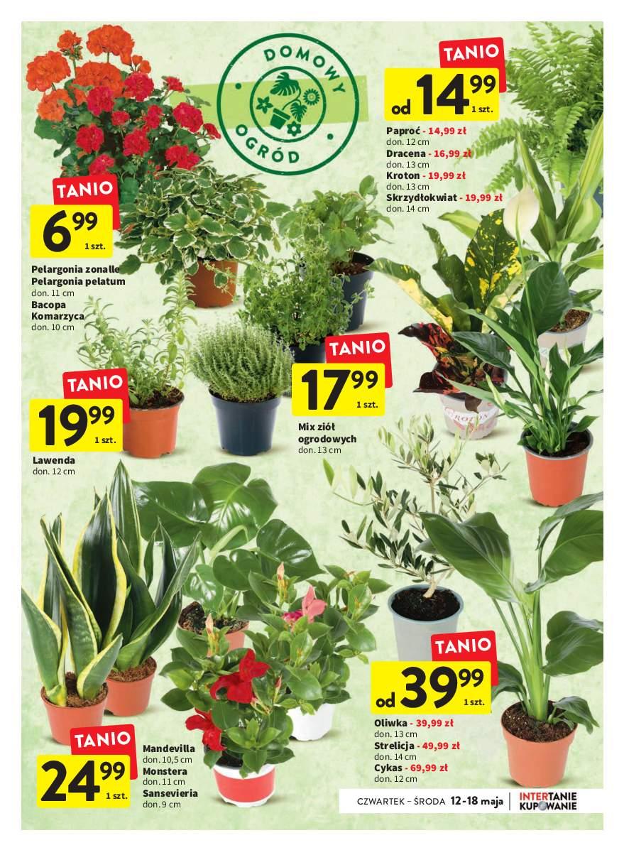 Gazetka promocyjna Intermarche str. 13