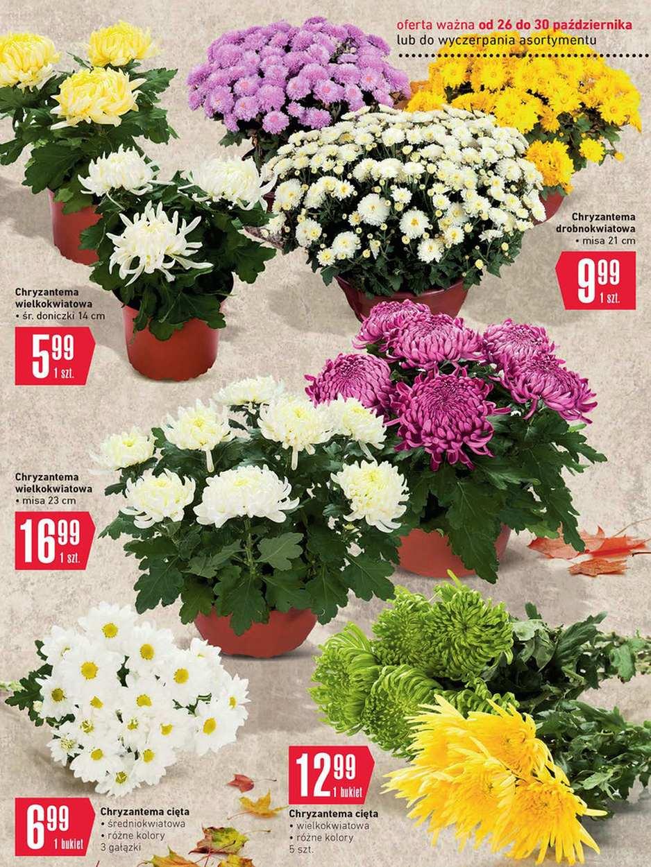 Gazetka promocyjna Intermarche str. 17