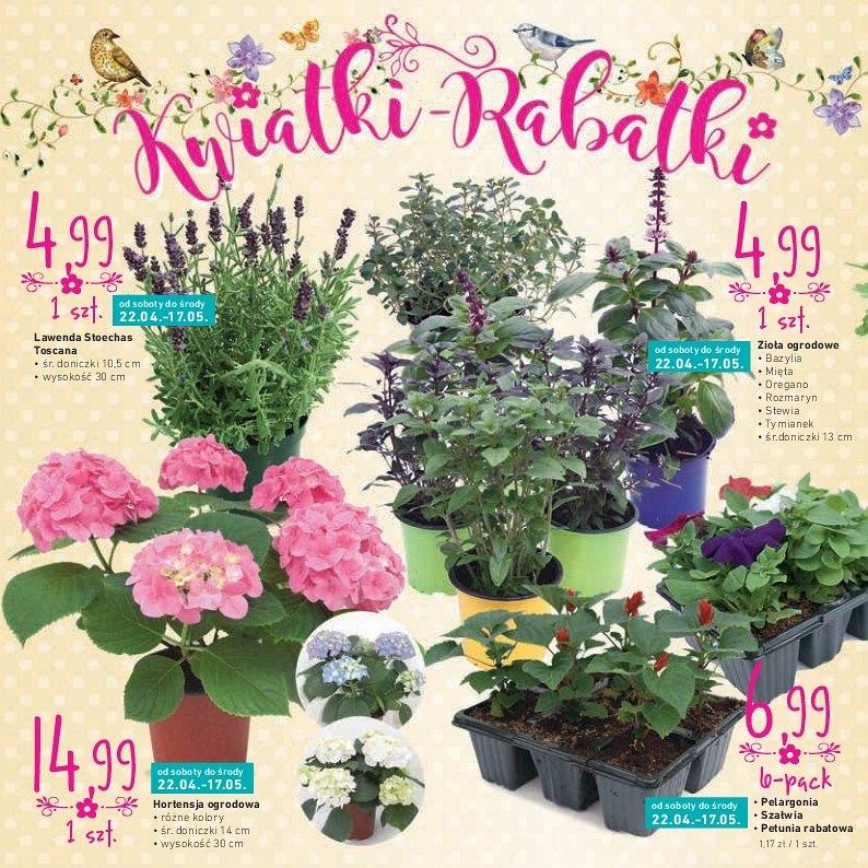 Gazetka promocyjna Intermarche str. 10